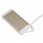 Kit Executive Power Bank 4100mAh - външна батерия 4100mAh с вграден MFI Lightning кабел за Apple продукти (златист) 3